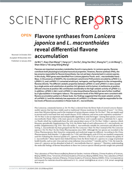 Flavone Synthases from Lonicera Japonica and L. Macranthoides