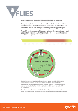 Cattle-Diseases-Flies.Pdf