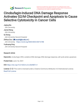 Cinobufagin-Induced DNA Damage Response Activates G2/M Checkpoint and Apoptosis to Cause Selective Cytotoxicity in Cancer Cells