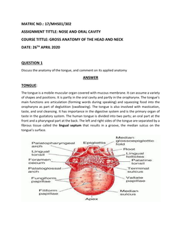 Gross Anatomy of the Head and Neck Date: 26Th April 2020