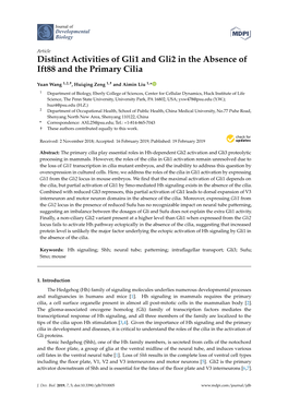 Distinct Activities of Gli1 and Gli2 in the Absence of Ift88 and the Primary Cilia