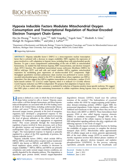 Hypoxia Inducible Factors Modulate Mitochondrial Oxygen Consumption and Transcriptional Regulation of Nuclear-Encoded Electron T