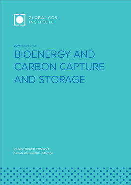 Bioenergy and Carbon Capture and Storage