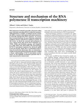 Structure and Mechanism of the RNA Polymerase II Transcription Machinery