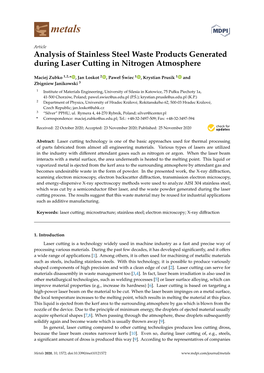 Analysis of Stainless Steel Waste Products Generated During Laser Cutting in Nitrogen Atmosphere