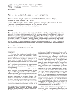 Terpene Production in the Peel of Sweet Orange Fruits