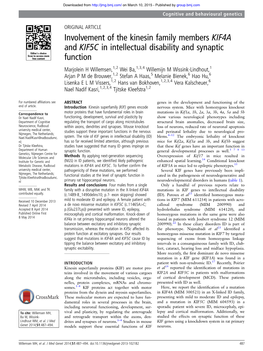 Involvement of the Kinesin Family Members KIF4A and KIF5C In