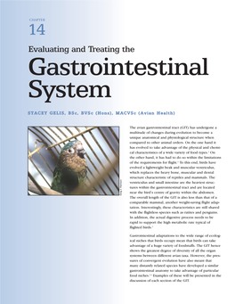 Evaluating and Treating the Gastrointestinal System