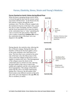 Forces, Elasticity, Stress, Strain and Young's Modulus Handout