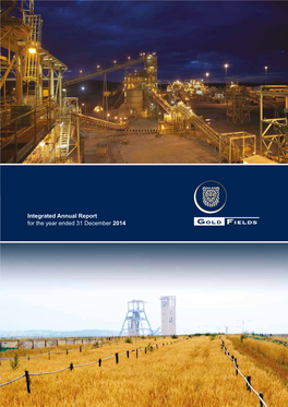 Integrated Annual Report for the Year Ended 31 December 2014