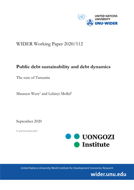 WIDER Working Paper 2020/112-Public