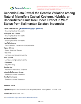 Genomic Data Reveal the Genetic Variation Among Natural Mangifera Casturi Kosterm