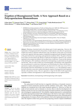 Eruption of Bioengineered Teeth: a New Approach Based on a Polycaprolactone Biomembrane