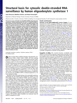 Structural Basis for Cytosolic Double-Stranded RNA Surveillance by Human Oligoadenylate Synthetase 1