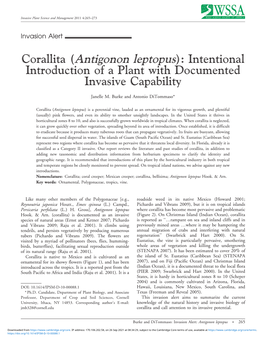 Antigonon Leptopus): Intentional Introduction of a Plant with Documented Invasive Capability