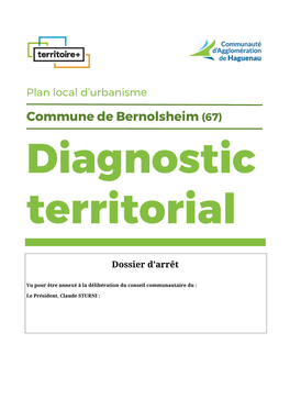 Diagnostic Territorial