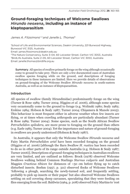 Ground-Foraging Techniques of Welcome Swallows Hirundo Neoxena, Including an Instance of Kleptoparasitism