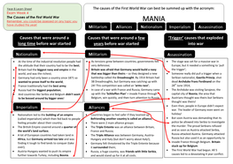 Militarism Alliances Nationalism Imperialism Assassination Causes