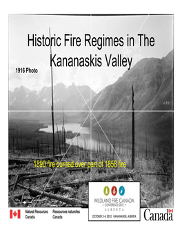 Historic Fire Regimes in the Kananaskis Valley 1916 Photo