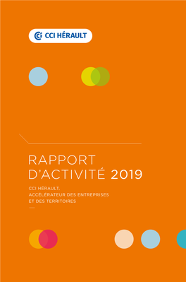 Rapport D'activité 2019