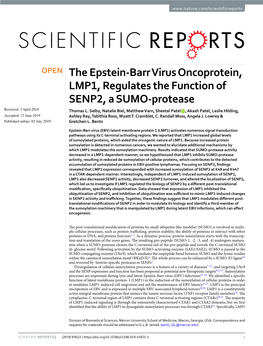 The Epstein-Barr Virus Oncoprotein, LMP1, Regulates the Function of SENP2, a SUMO-Protease Received: 3 April 2018 Thomas L