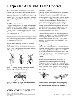 Carpenter Ants and Their Control