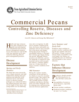 Commercial Pecans Controlling Rosette, Diseases and Zinc Deficiency