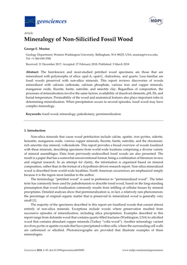 Mineralogy of Non-Silicified Fossil Wood