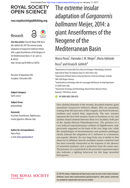 A Giant Anseriformes of the Neogene of The