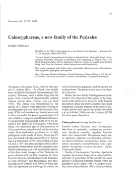 Caloscyphaceae, a New Family of the Pezizales