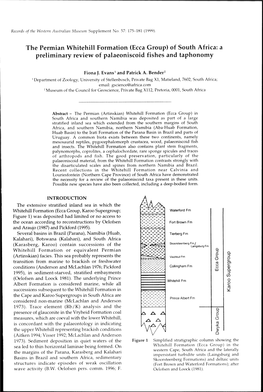 Ecca Group) of South Africa: a Preliminary Review of Palaeoniscoid Fishes and Taphonomy