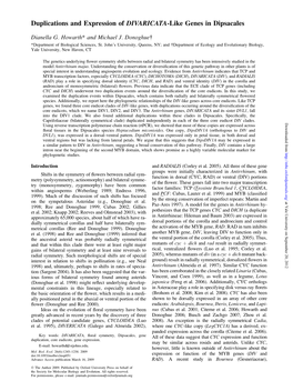 Duplications and Expression of DIVARICATA-Like Genes in Dipsacales