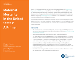 Maternal Mortality in the United States: a Primer 2