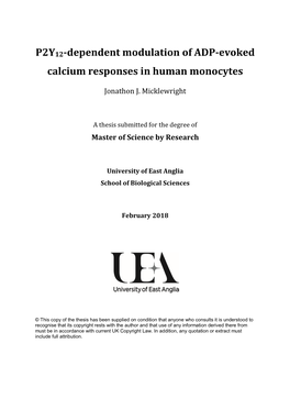 P2Y12-Dependent Modulation of ADP-Evoked Calcium Responses in Human Monocytes