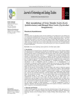 Hair Morphology of Gray Slender Loris (Loris Lydekkerianus) and Bengal