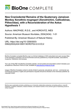 Xenothrix Mcgregori (Xenotrichini, Callicebinae, Pitheciidae), with a Reconsideration of the Aotus Hypothesis 1