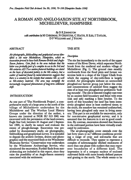 A Roman and Anglo-Saxon Site at Northbrook, Micheldever, Hampshire