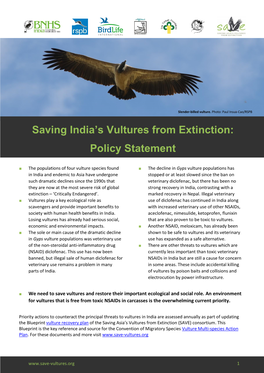 Saving India's Vultures from Extinction