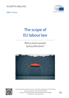 In-Depth Analysis: the Scope of EU Labour
