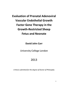 Evaluation of Prenatal Adenoviral Vascular Endothelial Growth Factor Gene Therapy in the Growth-Restricted Sheep Fetus and Neonate