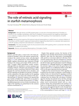 The Role of Retinoic Acid Signaling in Starfish Metamorphosis