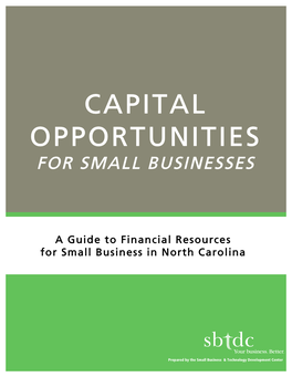 Capital Opportunities for Small Businesses (2014)