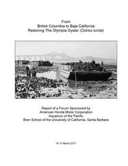 From British Columbia to Baja California Restoring the Olympia Oyster (Ostrea Lurida)