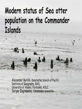 Modern Status of Sea Otter Population on the Commander Islands