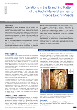 Variations in the Branching Pattern of the Radial Nerve Branches to Triceps Brachii