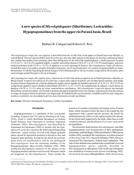 A New Species of Microlepidogaster (Siluriformes: Loricariidae: Hypoptopomatinae) from the Upper Rio Paraná Basin, Brazil