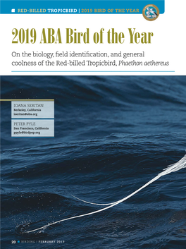 2019 ABA Bird of the Year on the Biology, Field Identification, and General Coolness of the Red-Billed Tropicbird, Phaethon Aethereus