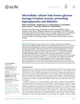 Intracellular Calcium Leak Lowers Glucose Storage in Human Muscle