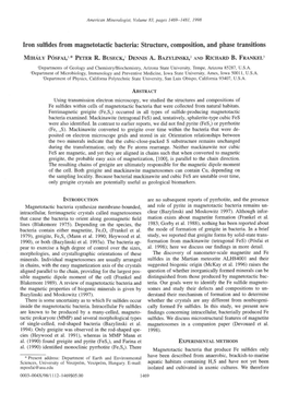 Iron Sulfides from Magnetotactic Bacteria: Structure, Composition