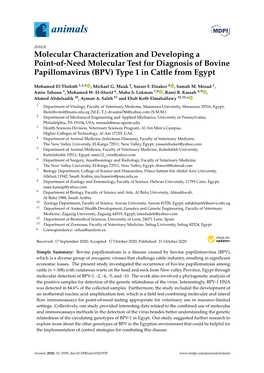 Molecular Characterization and Developing a Point-Of-Need Molecular Test for Diagnosis of Bovine Papillomavirus (BPV) Type 1 in Cattle from Egypt